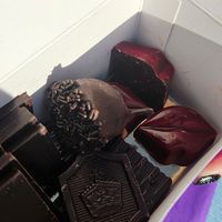 Parlines at Chocolalino in Bruges