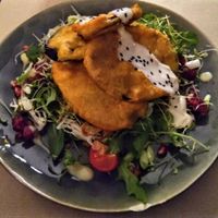 Eggplant pakora with soy yoghurt dressing, salad & pomegranate at Eethuis De Fobie in Ghent