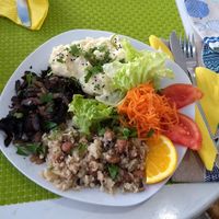 Migas, cogumelos, purê de couve-flor e salada. at Cantinho da Regina in Sesimbra