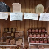 Home made shampoos at Little Plant Pantry in Amsterdam