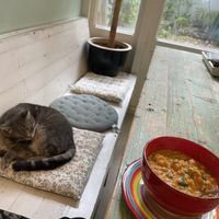   at Little Plant Pantry in Amsterdam