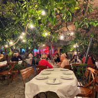   at Oda's Garden in Tirana