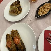   at Oda's Garden in Tirana