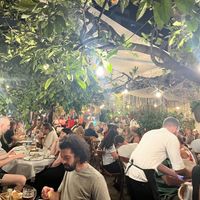   at Oda's Garden in Tirana