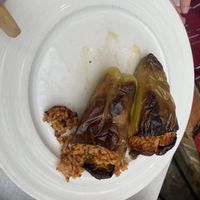   at Oda's Garden in Tirana