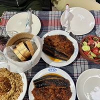 Stuffed pepper, stuffed aubergines, salad, bread and wine   at Lili Homemade Food in Berat