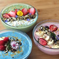 An assortment of smoothie bowls at Wholism in Portland