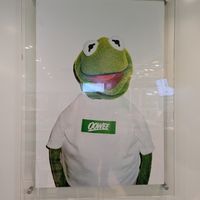 Kermit says Go Vegan! at Oowee Vegan - Baldwin in Bristol