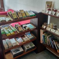 Tea from the Royal Thai Project, herbs, spices, grains and seeds at Ganita Cafe in Pai