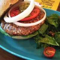 Vegan burger with side of kale salad at Martiniburger in Tokyo