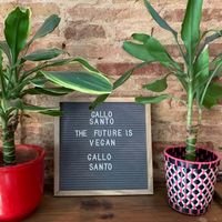 Lovely decoration at Gallo Santo in Barcelona