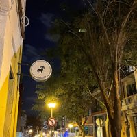 💚 at Gallo Santo in Barcelona