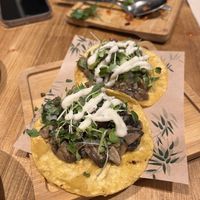   at Gallo Santo in Barcelona