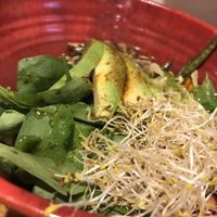 bowl  at Gallo Santo in Barcelona