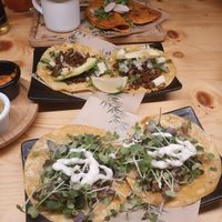 tacos at Gallo Santo in Barcelona