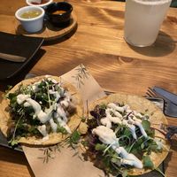   at Gallo Santo in Barcelona