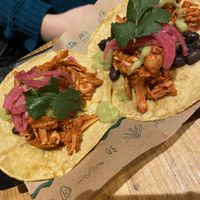   at Gallo Santo in Barcelona