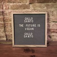   at Gallo Santo in Barcelona