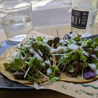 Mushroom tacos (a little Underwhelming) at Gallo Santo in Barcelona