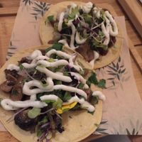 mushroom tacos at Gallo Santo in Barcelona