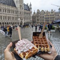 vegan waffles at VeganWaf in Brussels
