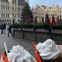  #Veganuary at VeganWaf in Brussels