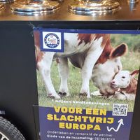 "" at VeganWaf in Brussels