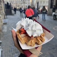   at VeganWaf in Brussels