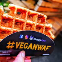 Plain is the way to go! at VeganWaf in Brussels