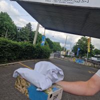  at Zum glücklichen Bergschweinchen in Kassel