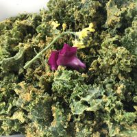 Kale salad at Sukha Cafe in Baton Rouge