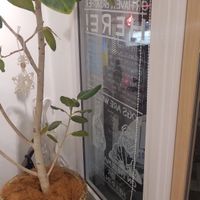 window at Breather Coffee in Zushi