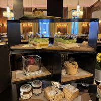   at Bristol Lounge in Vienna