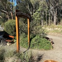 Dog friendly too   at The Trail Cafe in Mount Evelyn