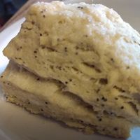 Vegan Lemon Poppy Seed Scone at Macy's European Coffeehouse in Flagstaff