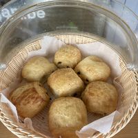   at V.gan in Brussels