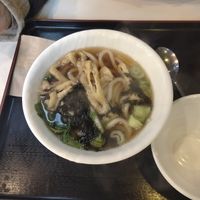 Udong at Maru JaYeonSik Kimbap in Seoul