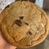 Biscuit chocolate   at Real Fake Meats in Halifax