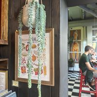 The other seating area and a beautiful Burro’s tail   at Real Fake Meats in Halifax