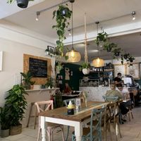 Plant everywhere! 🪴  at The Flower Cup in Chester