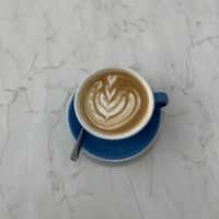 Latte with oat milk  at The Flower Cup in Chester