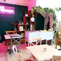 The Flower Cup at The Flower Cup in Chester