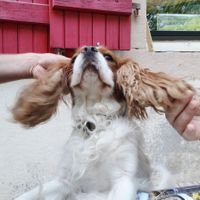  at La Beuratte in Cornimont