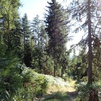  at La Beuratte in Cornimont