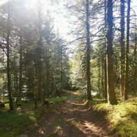  at La Beuratte in Cornimont