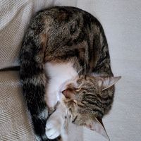  at La Beuratte in Cornimont