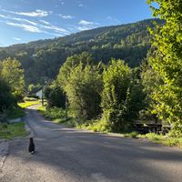 gorgeous location at La Beuratte in Cornimont