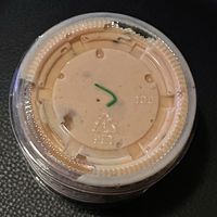 Vegan Dipping Sauce   at Big Bun Drive In in Boise