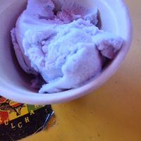 Coconut lavender lemonade ice cream at Cafe Roots-N-Kulchah in St Croix
