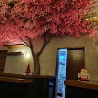  at Yamamoto in Cancun